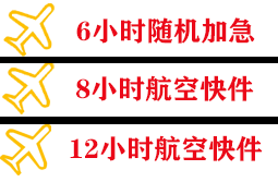 张孝空运公司快递公司,专业空运当天件